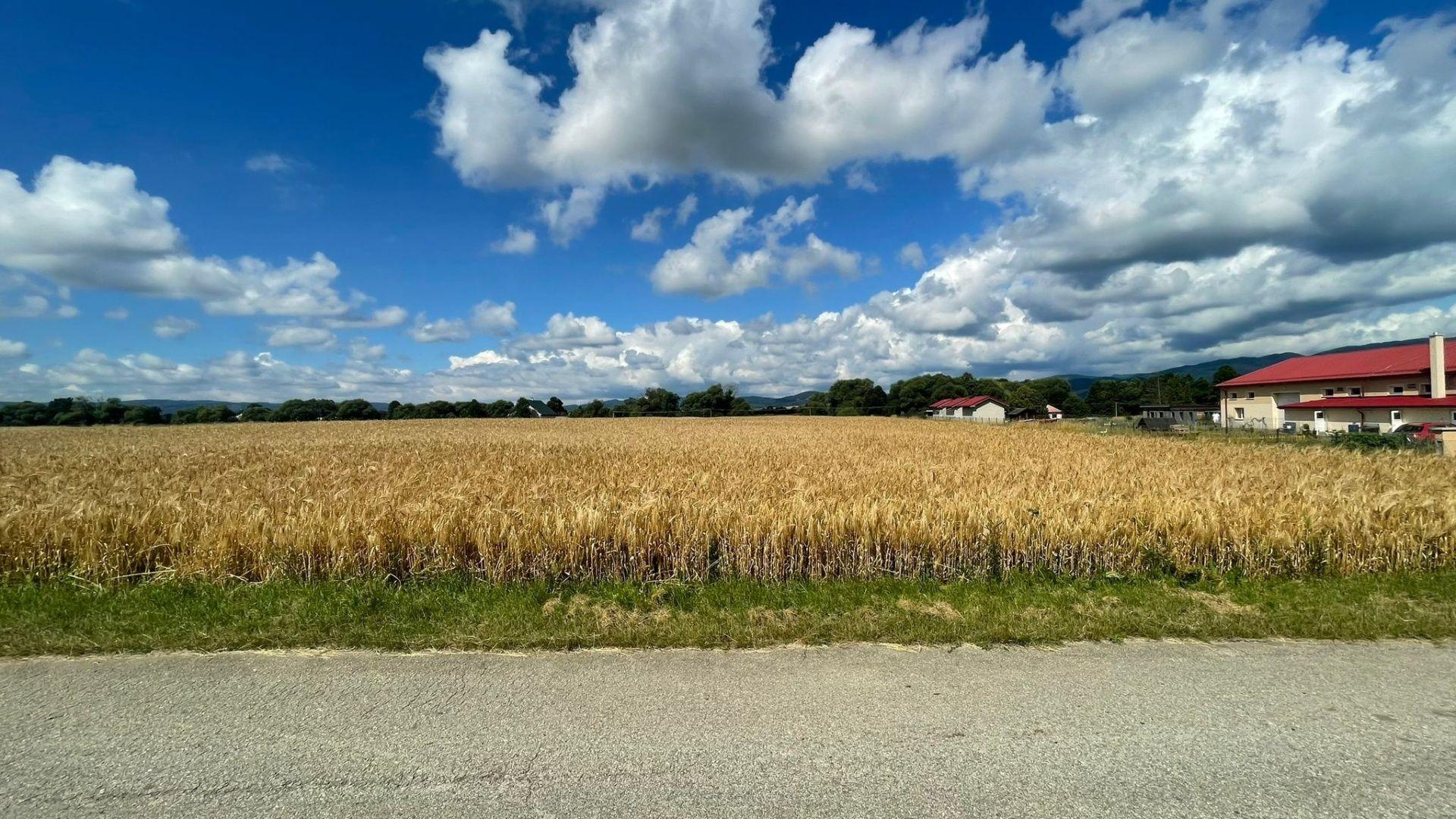 NA PREDAJ POZEMOK V OBCI BODOROVÁ