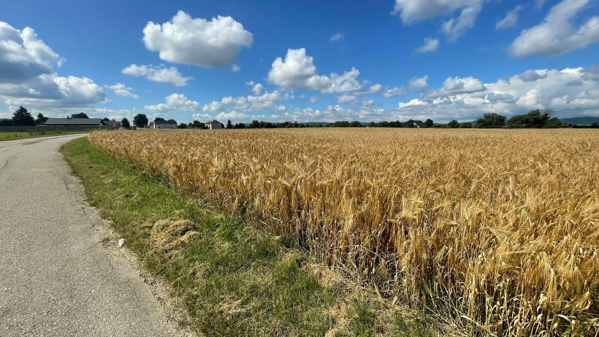 NA PREDAJ POZEMOK V OBCI BODOROVÁ
