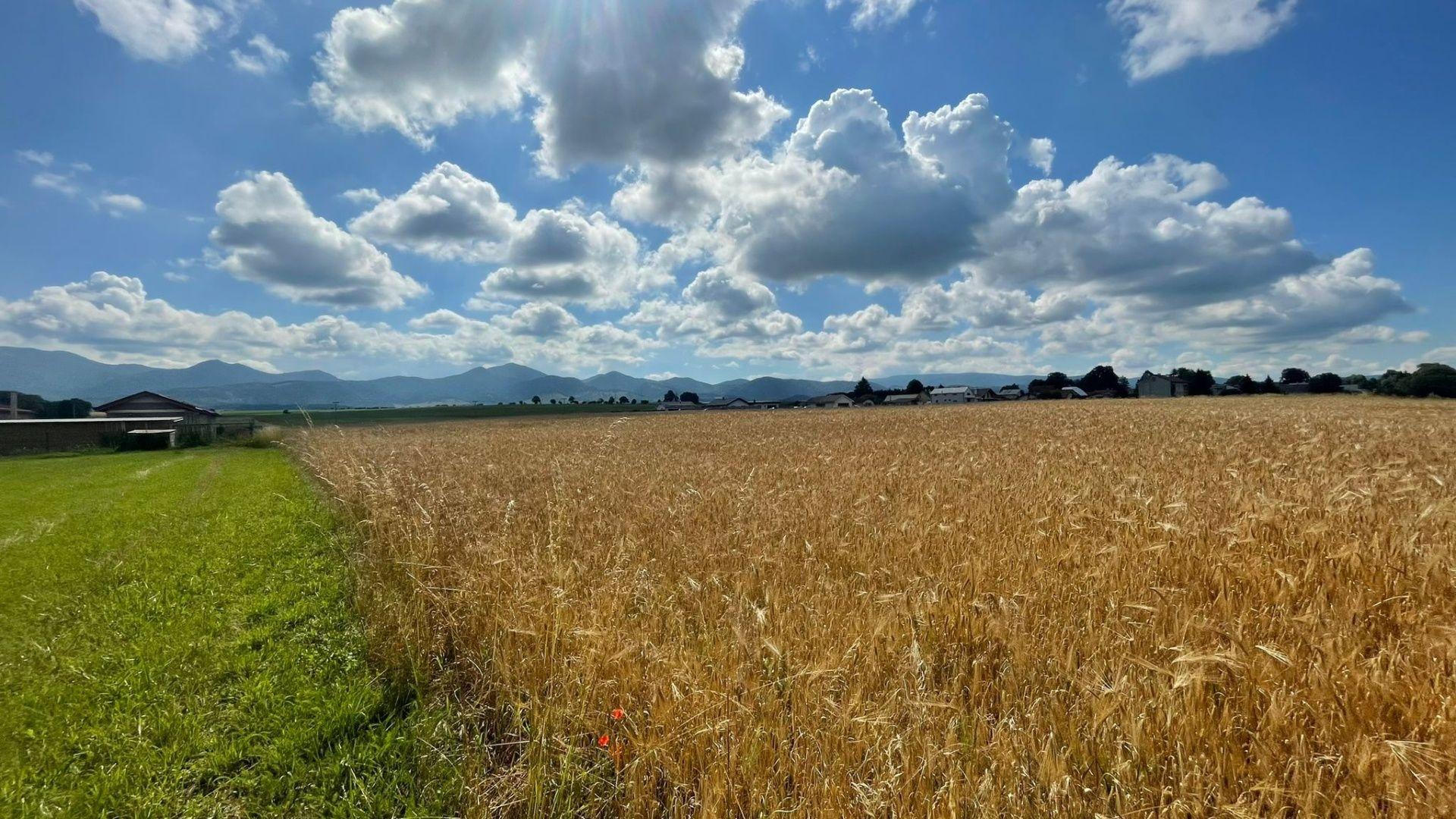 NA PREDAJ POZEMOK V OBCI BODOROVÁ