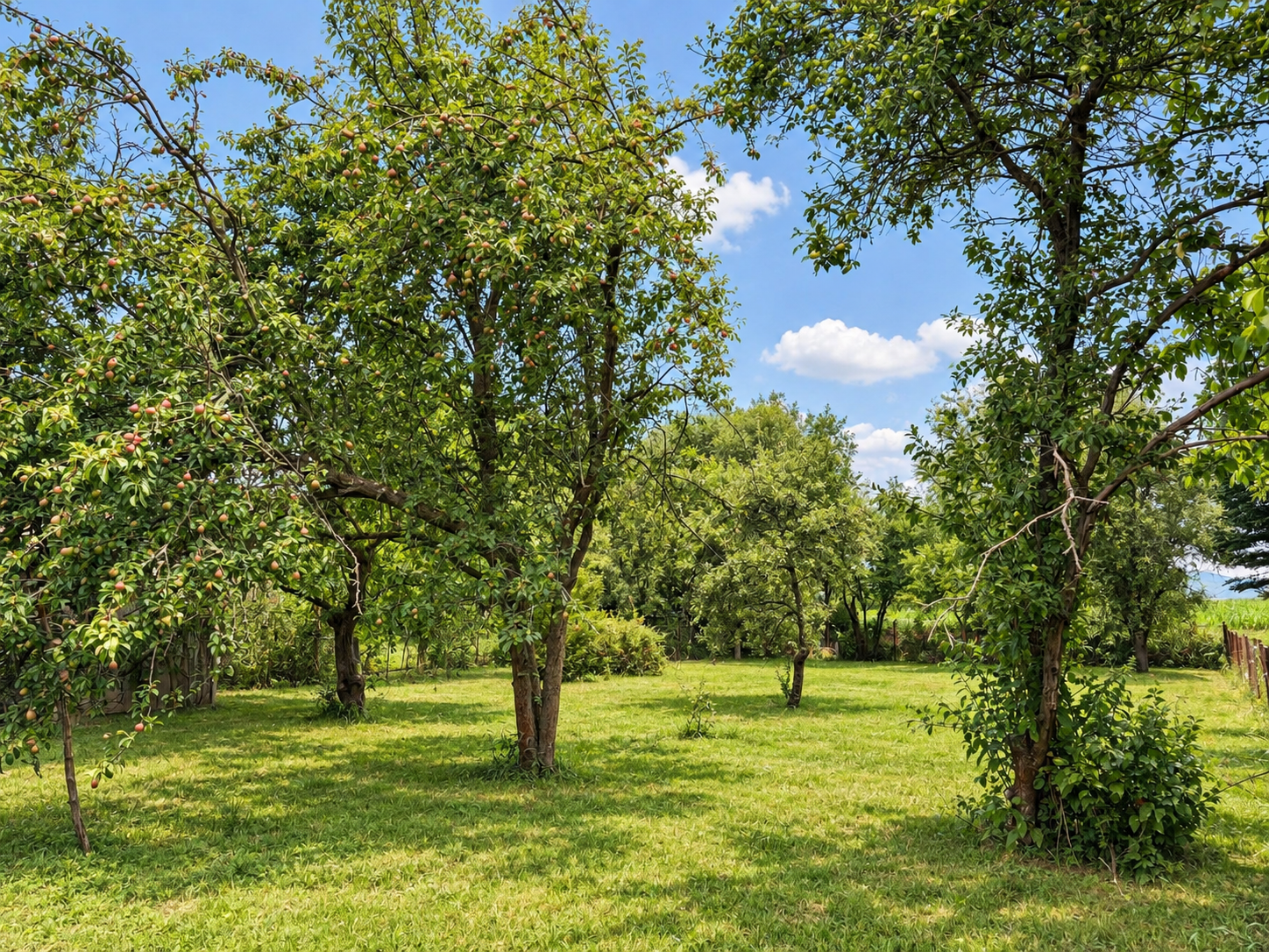 Stavebný pozemok 609 m² - ul. Žltá Nitrianske Pravno
