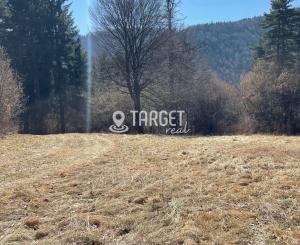 TARGETreal | NA PREDAJ REKREAČNÁ CHATA S 5 STAVEBNÝMI POZEMKAMI, VALČA
