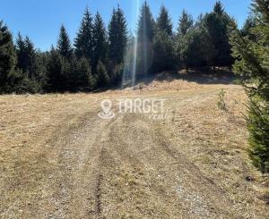 TARGETreal | NA PREDAJ REKREAČNÁ CHATA S 5 STAVEBNÝMI POZEMKAMI, VALČA