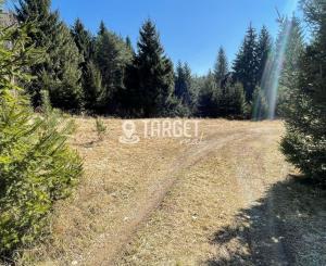 TARGETreal | NA PREDAJ REKREAČNÁ CHATA S 5 STAVEBNÝMI POZEMKAMI, VALČA