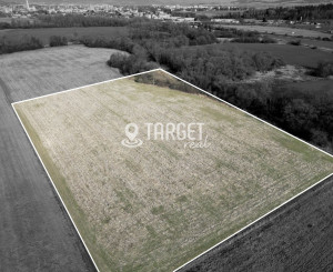 Rozľahlý pozemok 13 112 m² na výstavbu | Košťany nad Turcom, okres Martin 