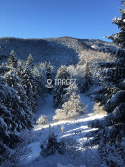 TARGETreal | REKREAČNÁ CHATA A 5 STAVEBNÝCH POZEMKOV, VALČA