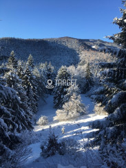 TARGETreal | 5 STAVEB. POZEMKOV A REKREAČNÁ CHATA, VALČA