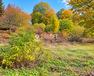 TARGETreal| Na predaj kúsok prírody v Hornej Štubni 1 104 m²
