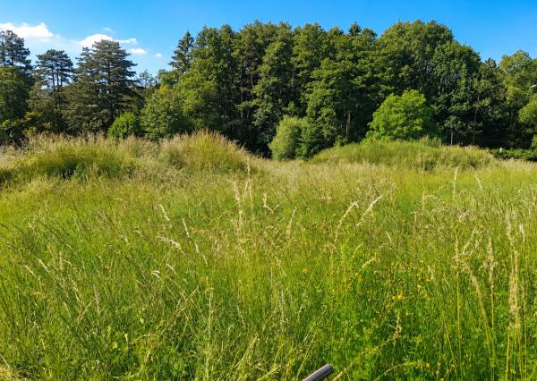 TARGETreal | Slnečný rohový stavebný pozemok 1 286 m² v Mošovciach