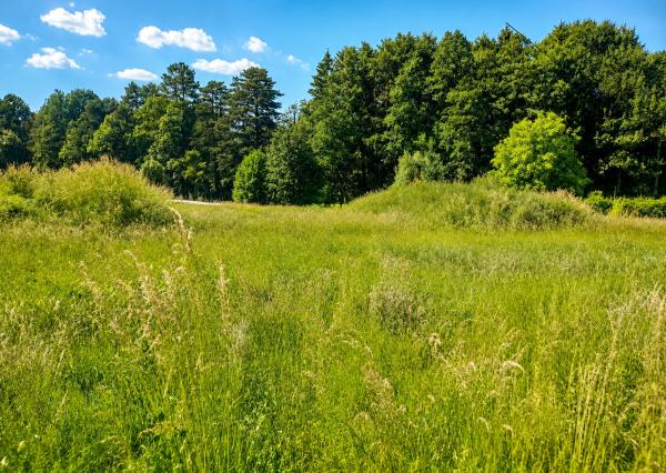 TARGETreal | Slnečný rohový stavebný pozemok 1 286 m² v Mošovciach