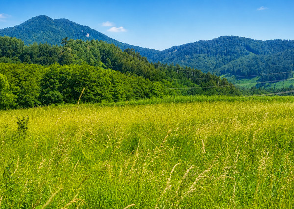 TARGETreal | Slnečný rohový stavebný pozemok 1 286 m² v Mošovciach