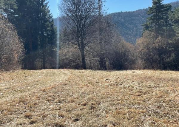 TARGETreal | NA PREDAJ REKREAČNÁ CHATA S 5 STAVEBNÝMI POZEMKAMI, VALČA