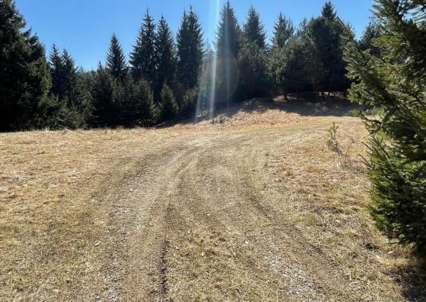 TARGETreal | NA PREDAJ REKREAČNÁ CHATA S 5 STAVEBNÝMI POZEMKAMI, VALČA