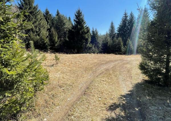 TARGETreal | NA PREDAJ REKREAČNÁ CHATA S 5 STAVEBNÝMI POZEMKAMI, VALČA