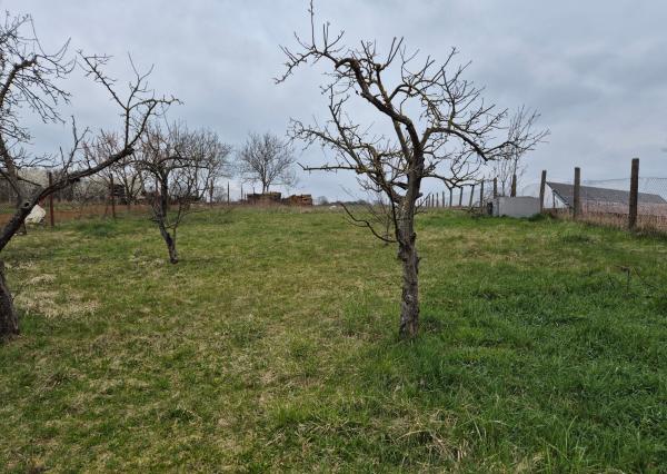 Rodinný dom v pokojnom prostredí v obci Norovce