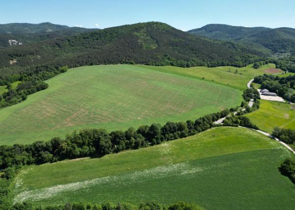Na predaj, Stavebné pozemky - Modrová, Vydané územné rozhodnutie, TARGETreal