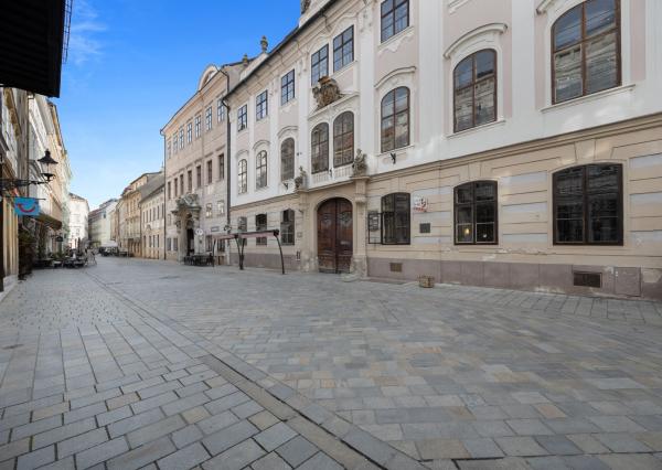 Na predaj, obchodné priestory na prízemí, Staré mesto - Panská ul.