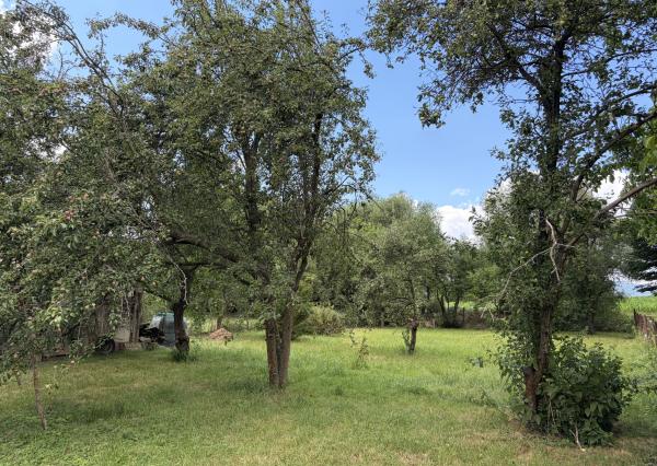 TARGETreal | 5-izbový rodinný dom s 1262 m2 rovinatým pozemkom, Nitrianske Pravno