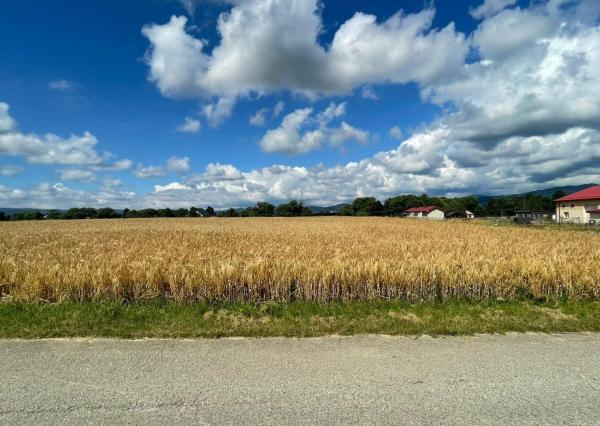 NA PREDAJ POZEMOK V OBCI BODOROVÁ