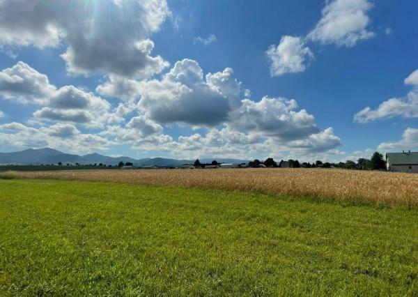 NA PREDAJ POZEMOK V OBCI BODOROVÁ