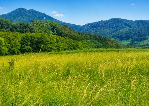 TARGETreal | Slnečný stavebný pozemok 1 208 m² v Mošovciach – pokojné bývanie blízko parku