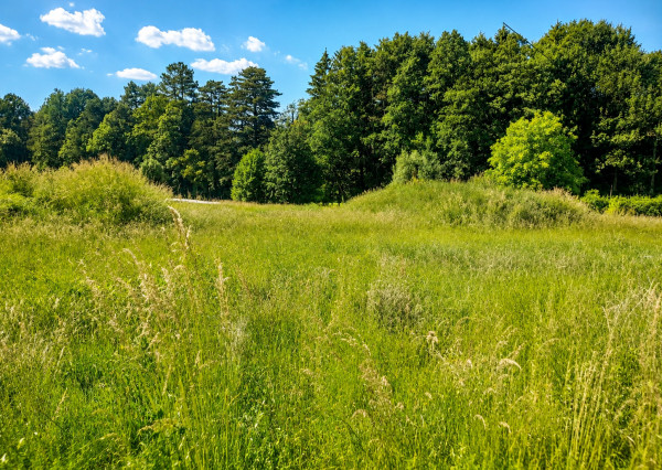 TARGETreal | Slnečný stavebný pozemok 1 208 m² v Mošovciach – pokojné bývanie blízko parku