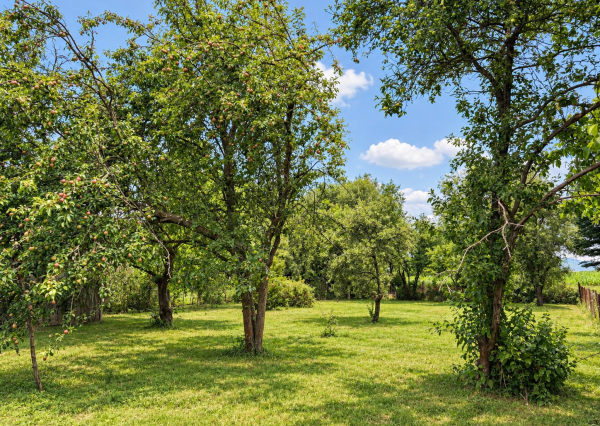Stavebný pozemok 609 m² - ul. Žltá Nitrianske Pravno