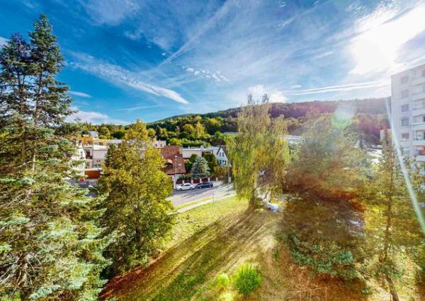 PREDAJ : 1-IZBOVÝ BYT PO REKONŠTRUKCII S BALKÓNOM, OKRUŽNÁ ulica